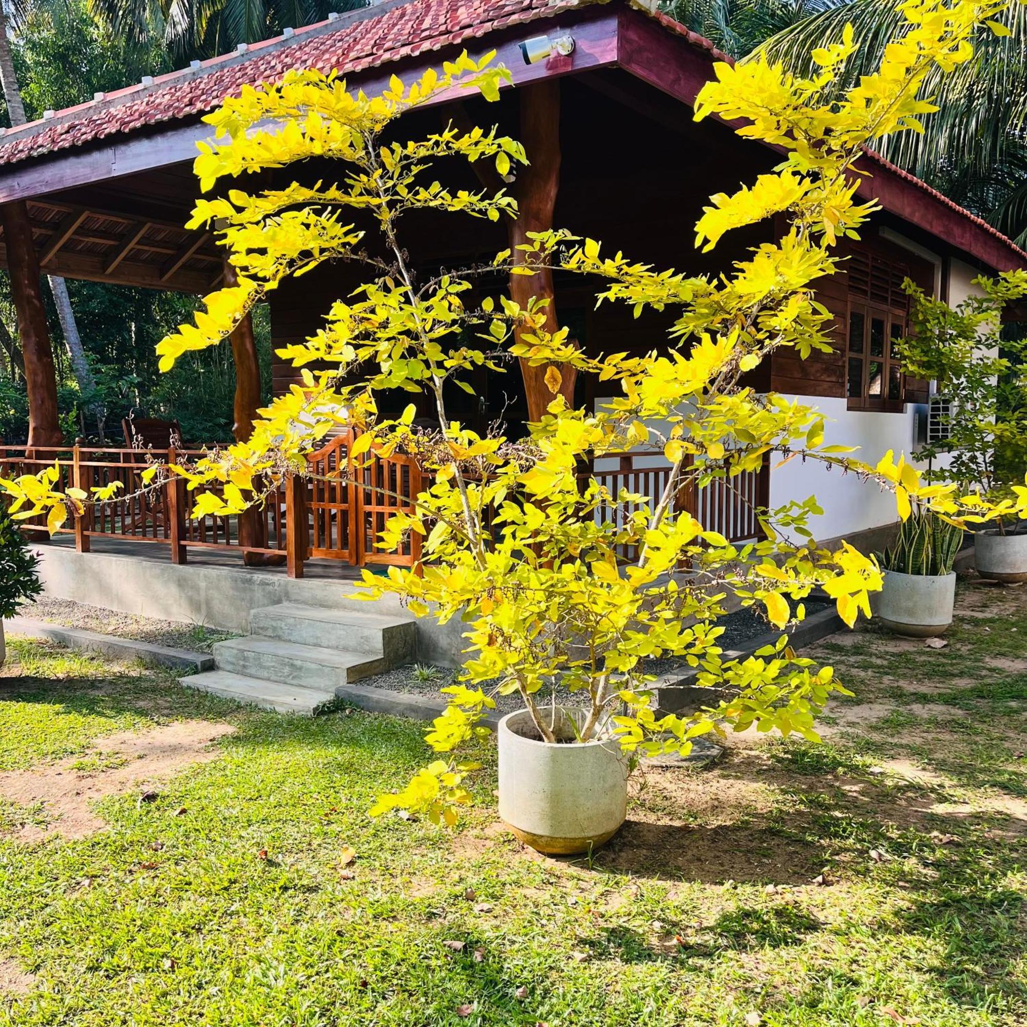 Hanguk Lanka Lagoon Villa Тангале Екстериор снимка